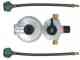 250 LP Regulator Automatic Changeover with 2 LP ACME Hoses 250 LP Regulator Automatic Changeover with 2 LP ACME Hoses
