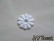 Plastic Rosette White